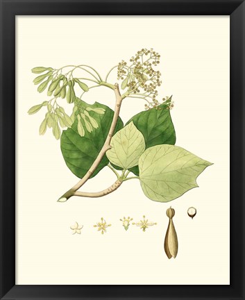 Framed Spring Green Foliage IV Print