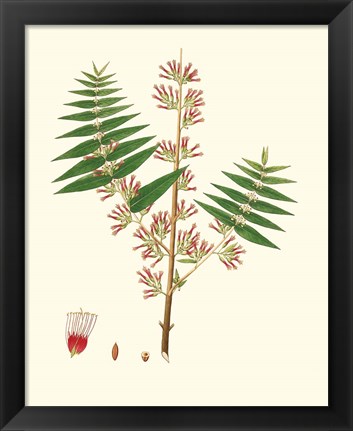 Framed Spring Green Foliage VI Print