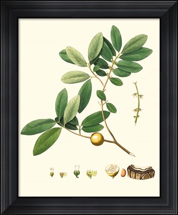 Framed Spring Green Foliage VII Print