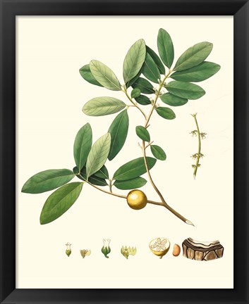 Framed Spring Green Foliage VII Print