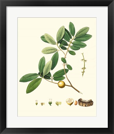 Framed Spring Green Foliage VII Print