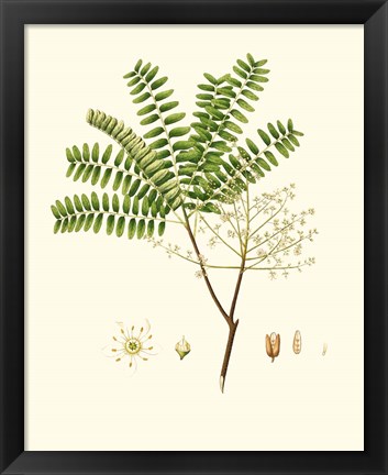 Framed Spring Green Foliage VIII Print