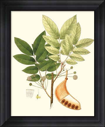 Framed Spring Green Foliage IX Print
