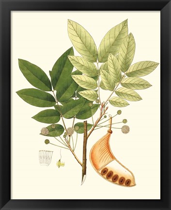 Framed Spring Green Foliage IX Print