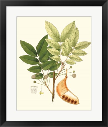 Framed Spring Green Foliage IX Print