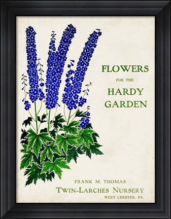 Framed Antique Seed Packets II Print