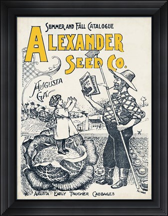 Framed Antique Seed Packets IV Print