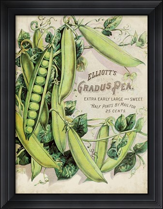 Framed Antique Seed Packets V Print