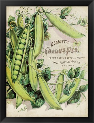 Framed Antique Seed Packets V Print