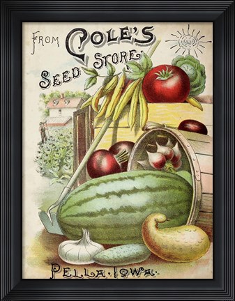 Framed Antique Seed Packets VI Print