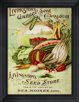 Framed Antique Seed Packets VII Print