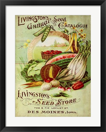 Framed Antique Seed Packets VII Print