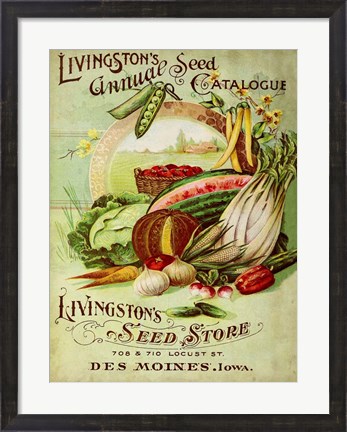 Framed Antique Seed Packets VII Print