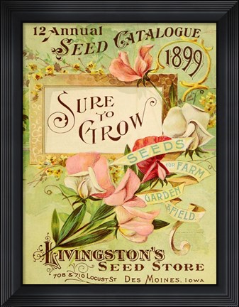 Framed Antique Seed Packets VIII Print