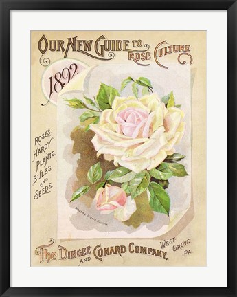 Framed Antique Seed Packets IX Print