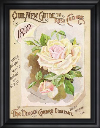 Framed Antique Seed Packets IX Print