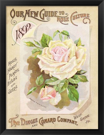 Framed Antique Seed Packets IX Print