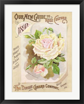 Framed Antique Seed Packets IX Print