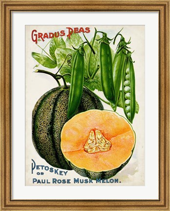 Framed Antique Seed Packets X Print