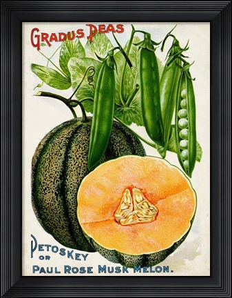 Framed Antique Seed Packets X Print