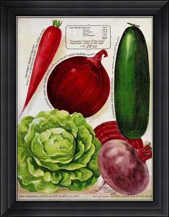 Framed Antique Seed Packets XI Print