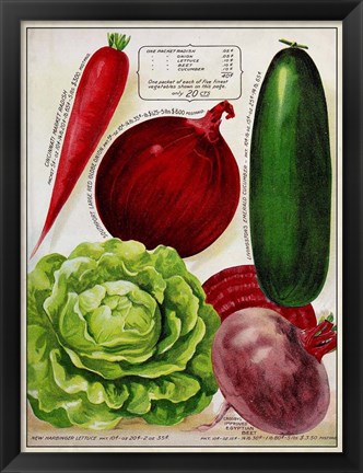 Framed Antique Seed Packets XI Print