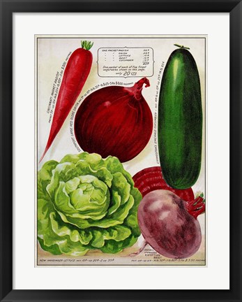 Framed Antique Seed Packets XI Print