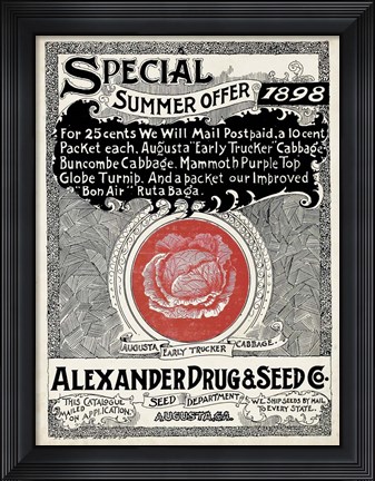 Framed Antique Seed Packets XIII Print