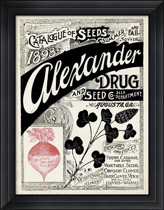 Framed Antique Seed Packets XIV Print