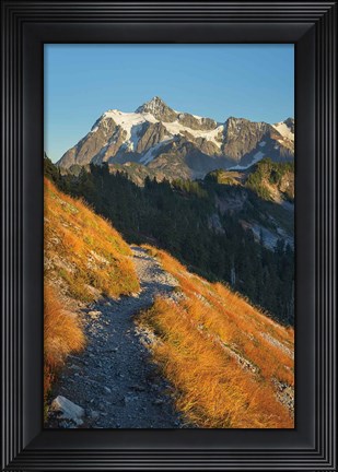 Framed Mount Shuksan North Cascades Print