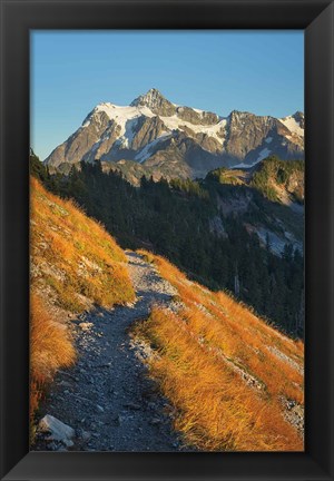 Framed Mount Shuksan North Cascades Print