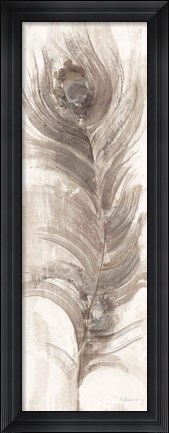 Framed Neutral Eyed Feathers II Print