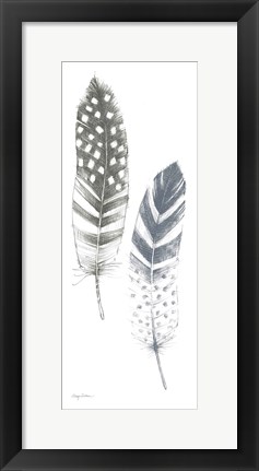 Framed Feather Sketches VIII Blue Gray Print