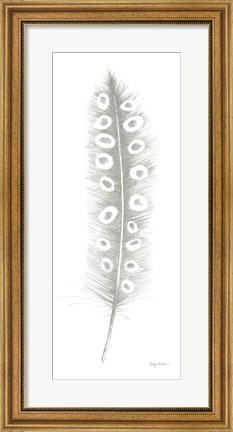 Framed Feather Sketches VII Green Gray Print