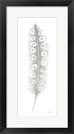 Framed Feather Sketches VII Green Gray Print