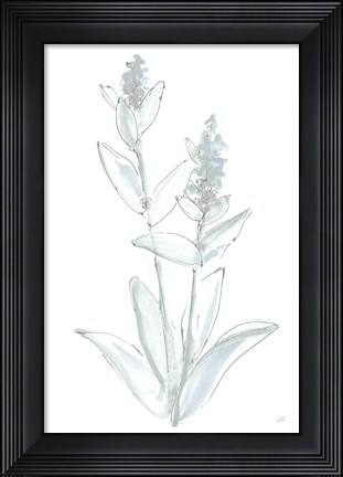 Framed Lambs Ear Sage IV Bleached Print