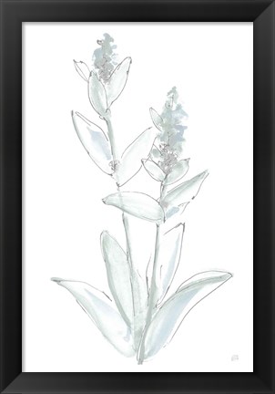 Framed Lambs Ear Sage IV Bleached Print