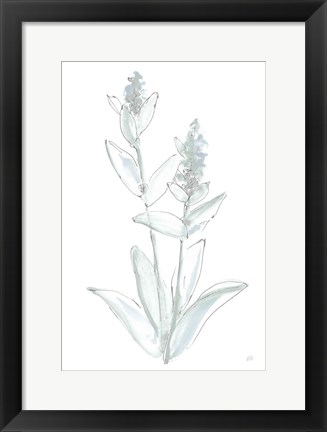 Framed Lambs Ear Sage IV Bleached Print