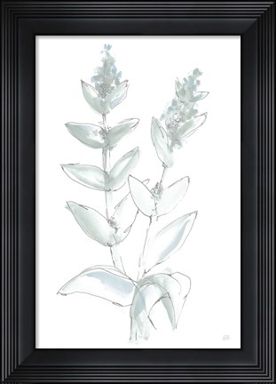 Framed Lambs Ear Sage III Bleached Print