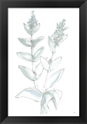 Framed Lambs Ear Sage III Bleached Print