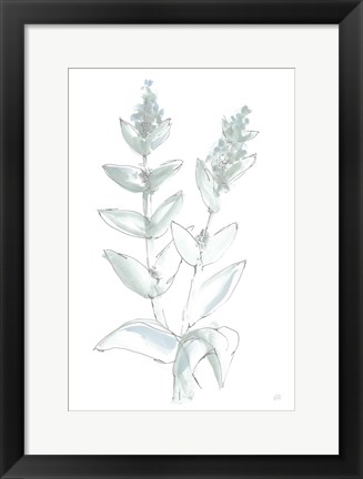 Framed Lambs Ear Sage III Bleached Print