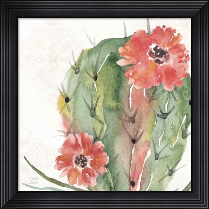 Framed Sweet Southwest V Print