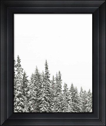 Framed Gold Lake Trees Print