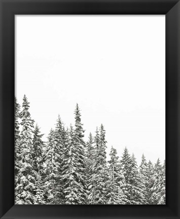 Framed Gold Lake Trees Print