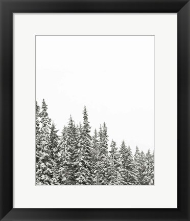 Framed Gold Lake Trees Print