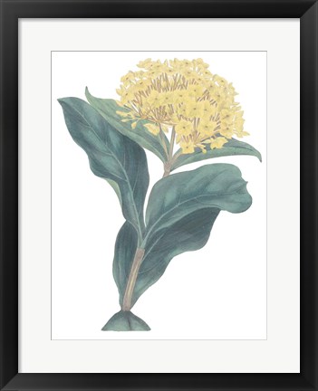 Framed Harlequin Floral Cool Print