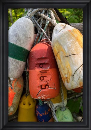 Framed Boat Bumpers II Print