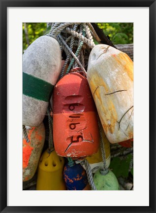 Framed Boat Bumpers II Print