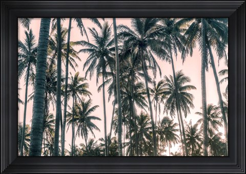 Framed Palms View on Pink Sky I Print
