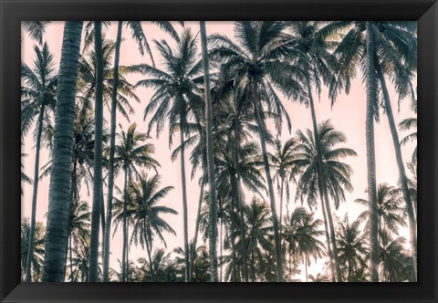 Framed Palms View on Pink Sky I Print